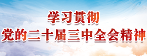 学习贯彻党的二十届三中全会精神